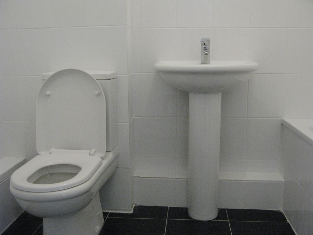 house or flat for sale or rent in south west London